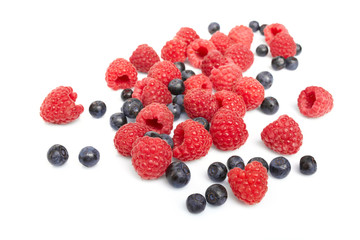 berries on white background