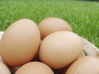 Eggs in a basket on a grass