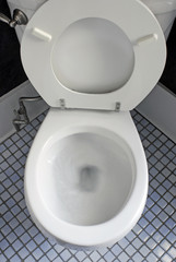 Flushing Toilet