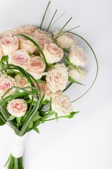 Beautiful Roses