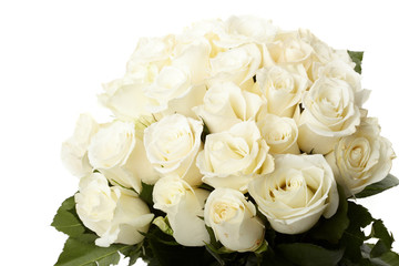 Cream roses