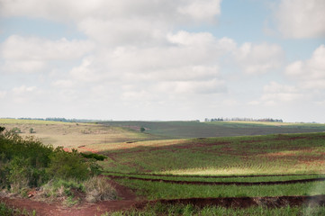 Maringá - Brasile