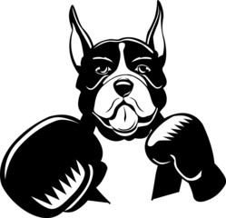 Boxing Boxer Cartoon