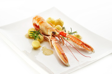Norway lobster with young potato