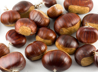 Obraz premium Castañas