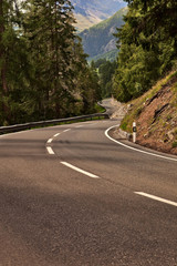 Winding road in mountains with pinetrees on both sides.