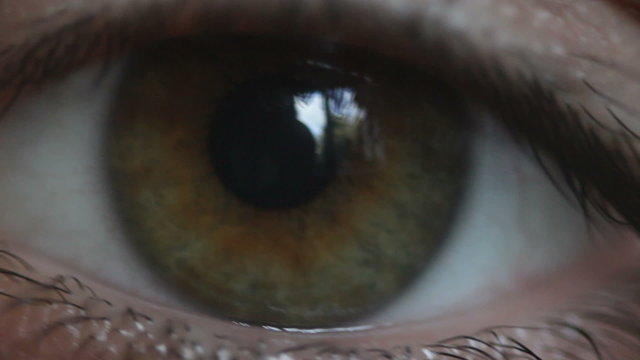 Eye, a close up