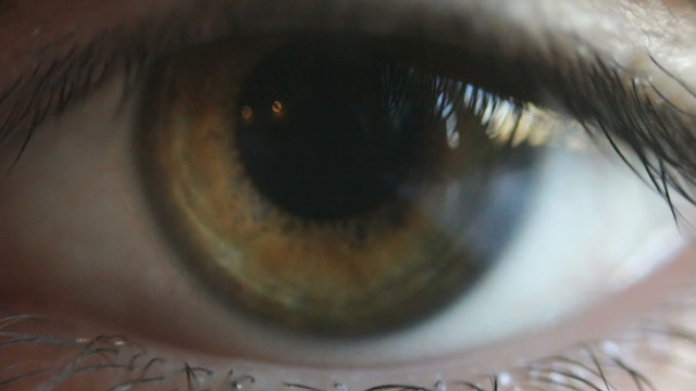 Eye, a close up