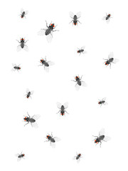 Flies on the white