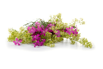 Beautiful bouquet of wild flowers