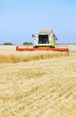 Cleaning of a wheaten field by a combine