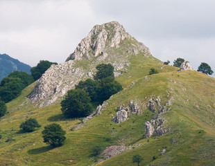 hill landscape