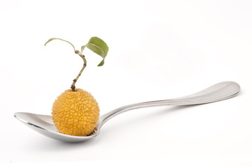 Cuchara y madroño amarillo