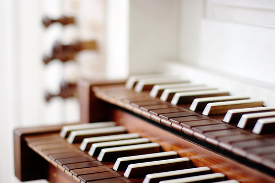 Orgel