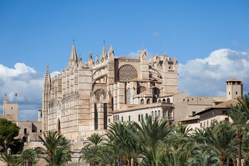 Fototapeta na wymiar Palma de Mallorca