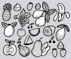hand draw fruit