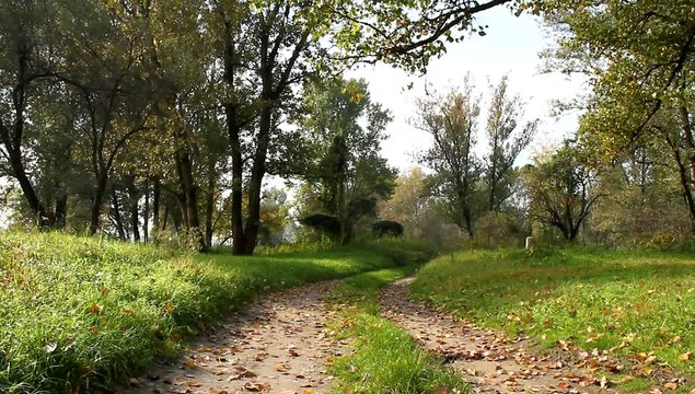 strada di campagna