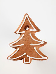 Gingerbread cookie