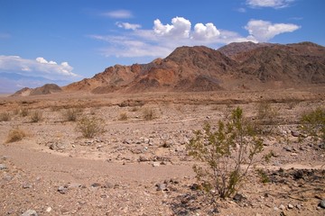 Death Valley landscape near Badwater Basin