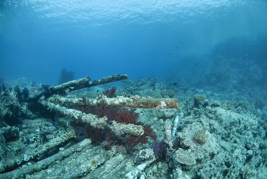 Wrecked remains of the container cargo of a shipwreck.