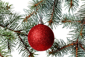 Pine branch and xmas ball