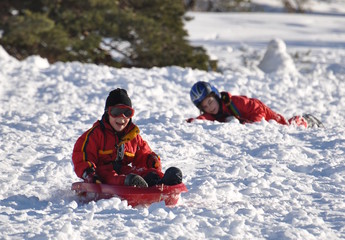 Fototapeta na wymiar sport zimowy obniżenie szczęśliwe dzieci na sankach