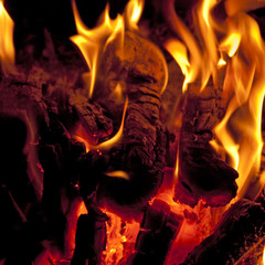 firewood