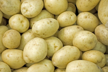 New white potatoes