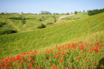 Typical Tuscan landscape