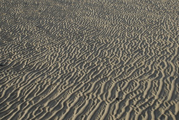 Strand bei Ebbe3