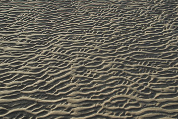 Obraz premium Strand bei Ebbe 4