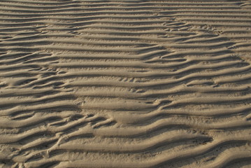 Obraz premium Strand bei Ebbe 5