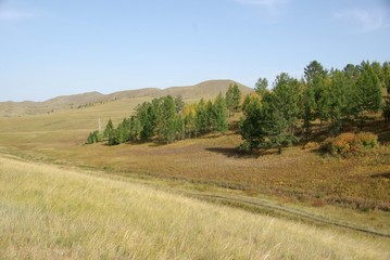 Foret, Mongolie