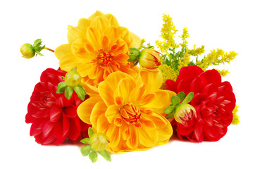Bouquet of Dahlia flowers isolated on white background