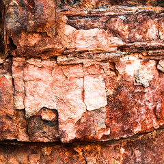 Dragon Scales...or Rust?