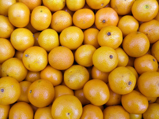 Tangerines on a counter