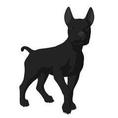Dog Illustration