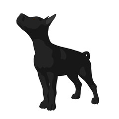 Dog Illustration
