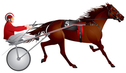 Harness racing, horse, gambling