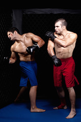Plakat Mixed martial artists fighting