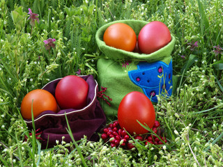 Easter eggs hidden in the grass