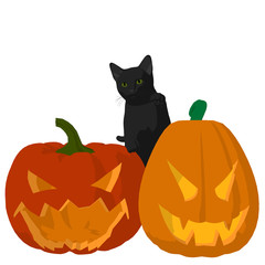 Halloween Cat Illustration