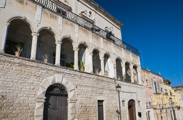 Fototapeta premium Historical palace.