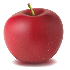 isolated apple