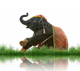 elephant with green grass isolated