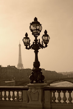 Fototapeta Vintage lamppost on the bridge of Alexandre III (Paris, France).