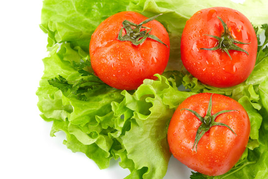 Tomatoes and lettuce  on the  white background
