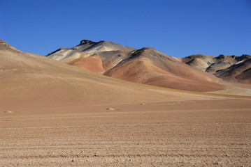 Fototapeta na wymiar Dali's desert
