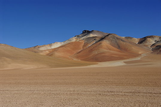 Dali's desert