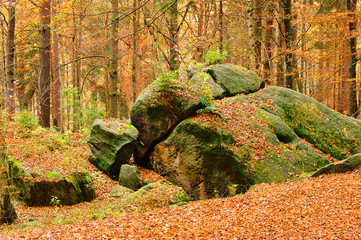Sandsteinfelsen im Wald - sandstone rock in forest 17
